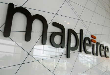 Singapore Firm Mapletree Elevates Alan Goh as Head of Information Technology and Systems