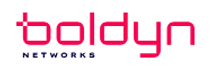 Boldyn Networks