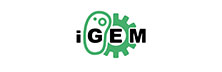 iGEM Foundation